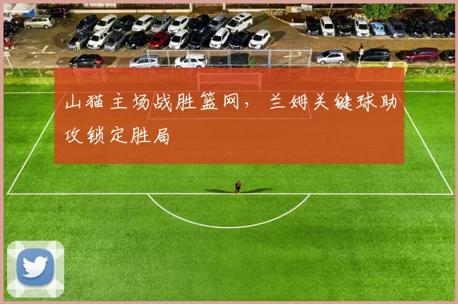 山猫主场战胜篮网，兰姆关键球助攻锁定胜局
