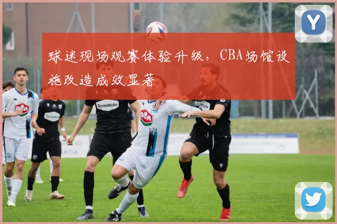 球迷现场观赛体验升级,CBA场馆设施改造成效显著