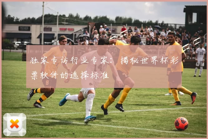 独家专访行业专家:揭秘世界杯彩票软件的选择标准