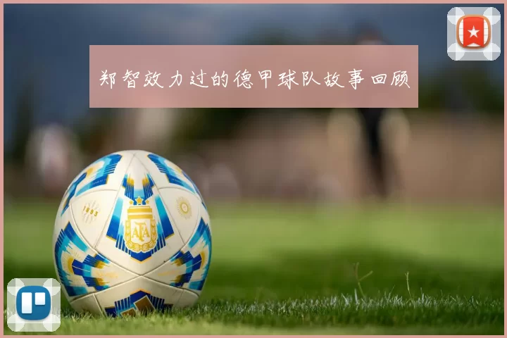 郑智效力过的德甲球队故事回顾