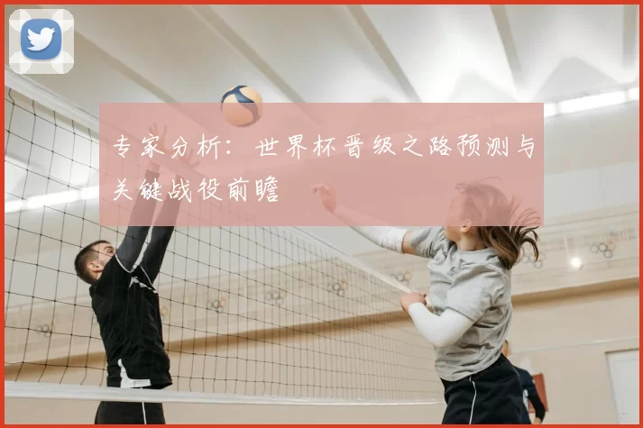 专家分析：世界杯晋级之路预测与关键战役前瞻