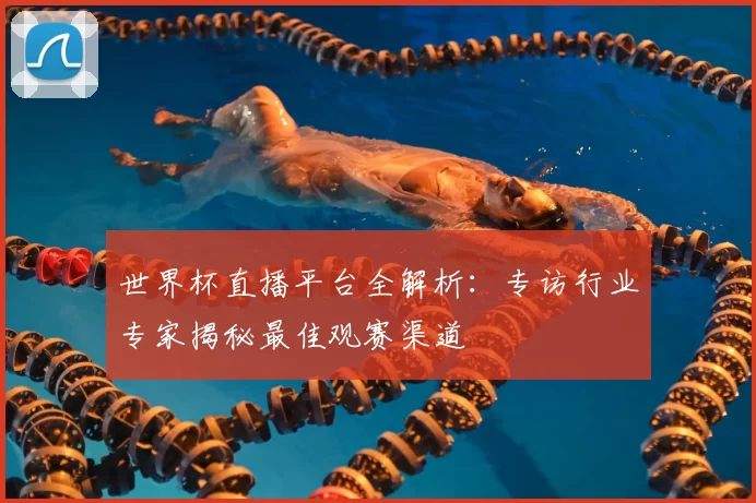 世界杯直播平台全解析:专访行业专家揭秘最佳观赛渠道