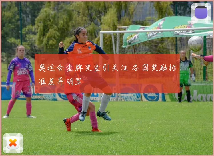 奥运会金牌奖金引关注 各国奖励标准差异明显