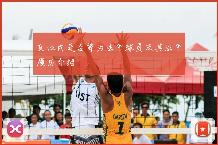 瓦拉内是否曾为法甲球员及其法甲履历介绍