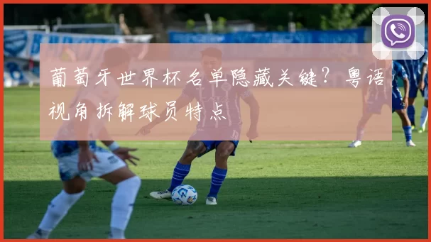 葡萄牙世界杯名单隐藏关键？粤语视角拆解球员特点