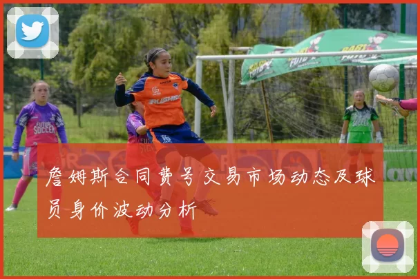 詹姆斯合同费号交易市场动态及球员身价波动分析