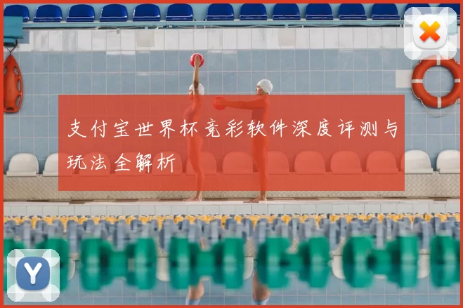 支付宝世界杯竞彩软件深度评测与玩法全解析