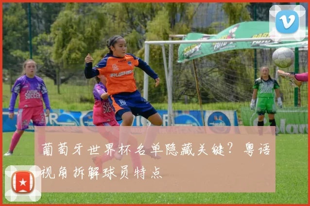 葡萄牙世界杯名单隐藏关键？粤语视角拆解球员特点