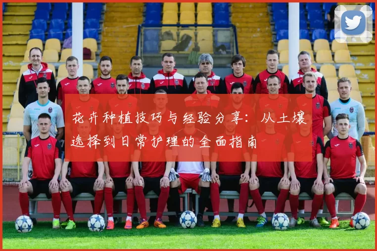 花卉种植技巧与经验分享：从土壤选择到日常护理的全面指南