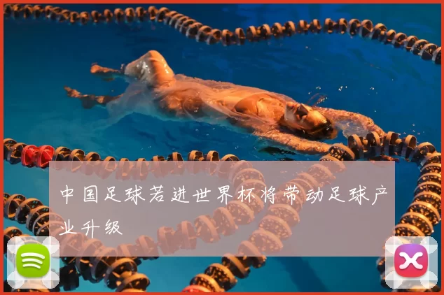 中国足球若进世界杯将带动足球产业升级
