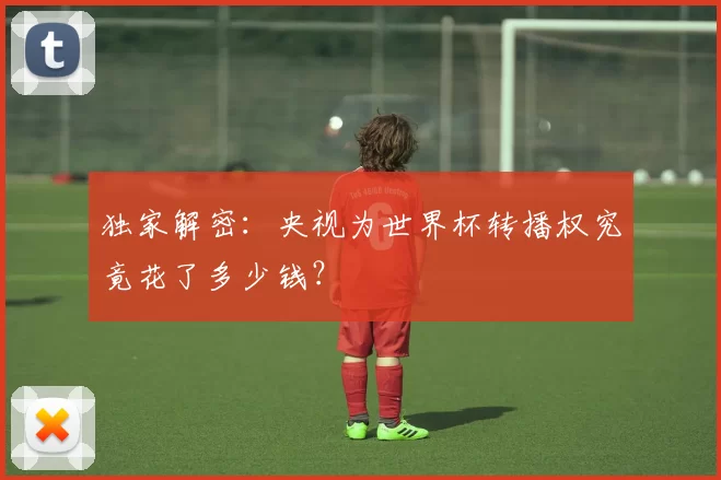 独家解密：央视为世界杯转播权究竟花了多少钱？