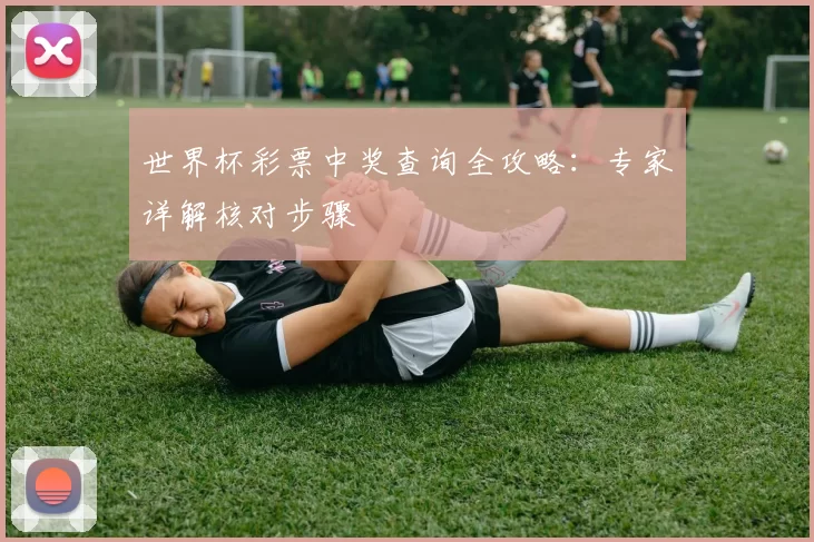 世界杯彩票中奖查询全攻略:专家详解核对步骤