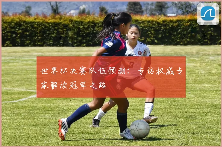 世界杯决赛队伍预测:专访权威专家解读冠军之路