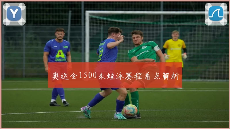 奥运会1500米蛙泳赛程看点解析