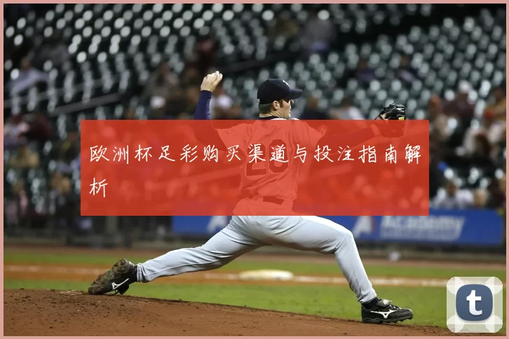 欧洲杯足彩购买渠道与投注指南解析