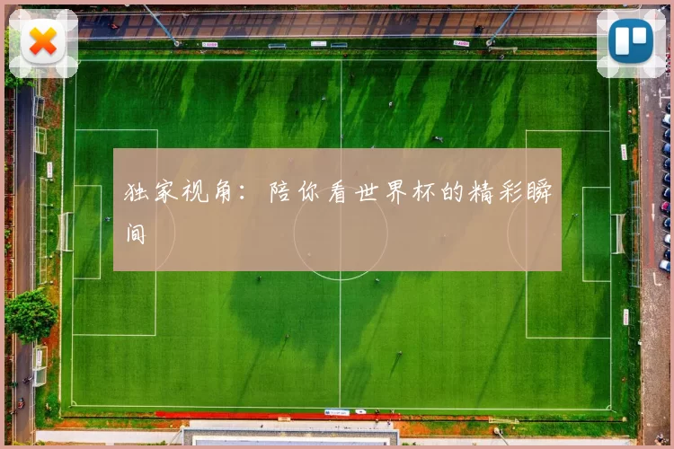 独家视角:陪你看世界杯的精彩瞬间