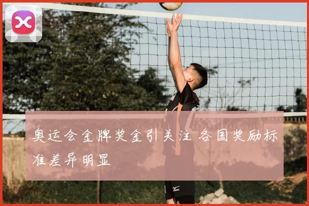 奥运会金牌奖金引关注 各国奖励标准差异明显
