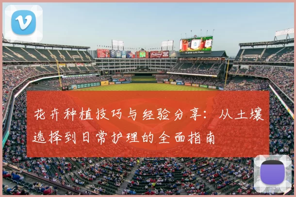 花卉种植技巧与经验分享：从土壤选择到日常护理的全面指南